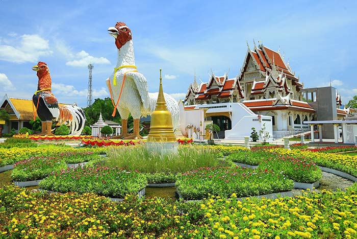 ประวัติไอ้ไข่ ตำนานสุดขลังวัดเจดีย์ เลื่องลือเรื่องโชคลาภ ณ นครศรีธรรมราช -  ติดRoam เว็บไซต์การท่องเที่ยว แนะนำรีวิว คาเฟ่สวยๆ  อัพเดตข่าวการท่องเที่ยวไทย/ต่างประเทศ